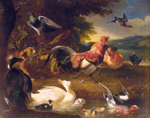 Chickens and Ducks, by Melchior d' Hondecoeter